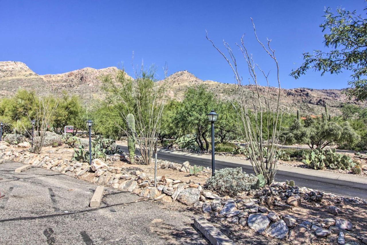 Catalina Foothills, Valley Hub With View * Tucson