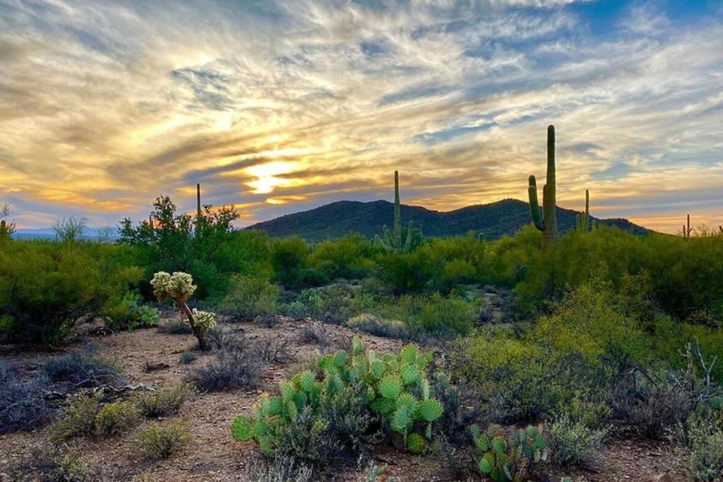 Bright Eastside 2bd-2ba Retreat With Pool & Parking - Summer Rates! * Tucson