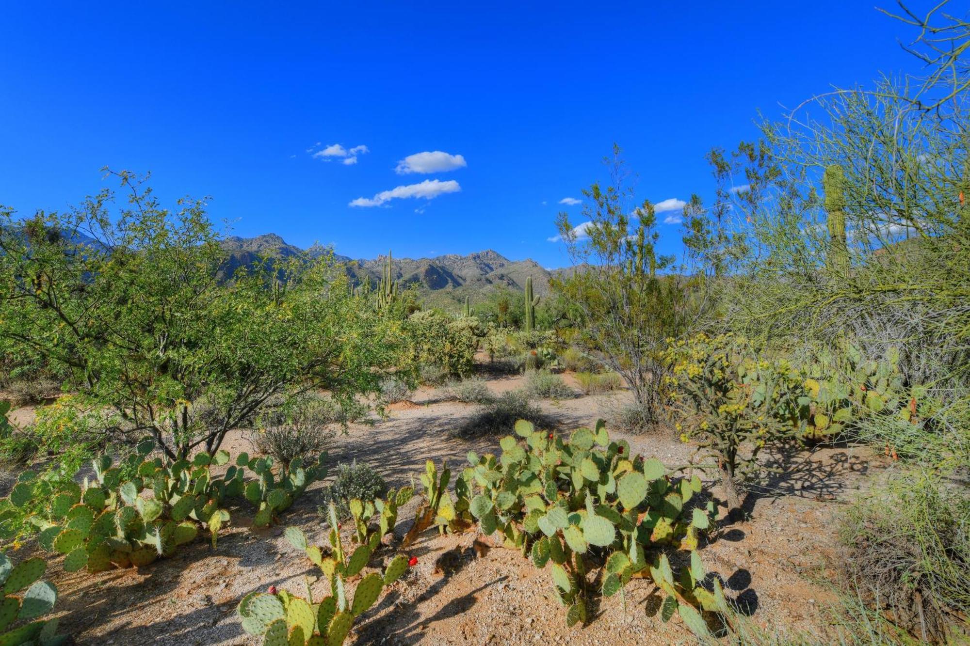 Apartment Sabino Canyon Tucson