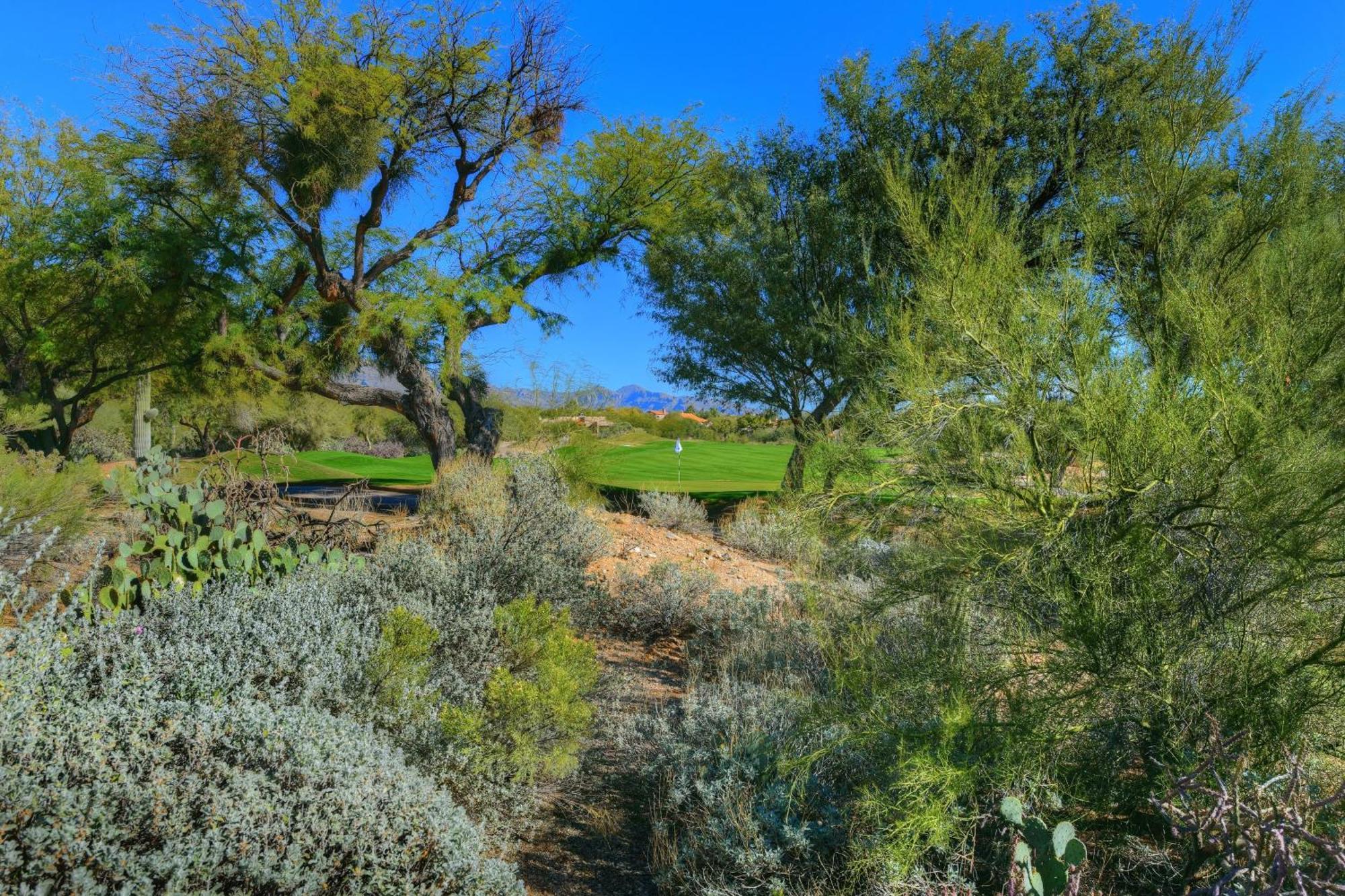 Sabino Canyon Tucson