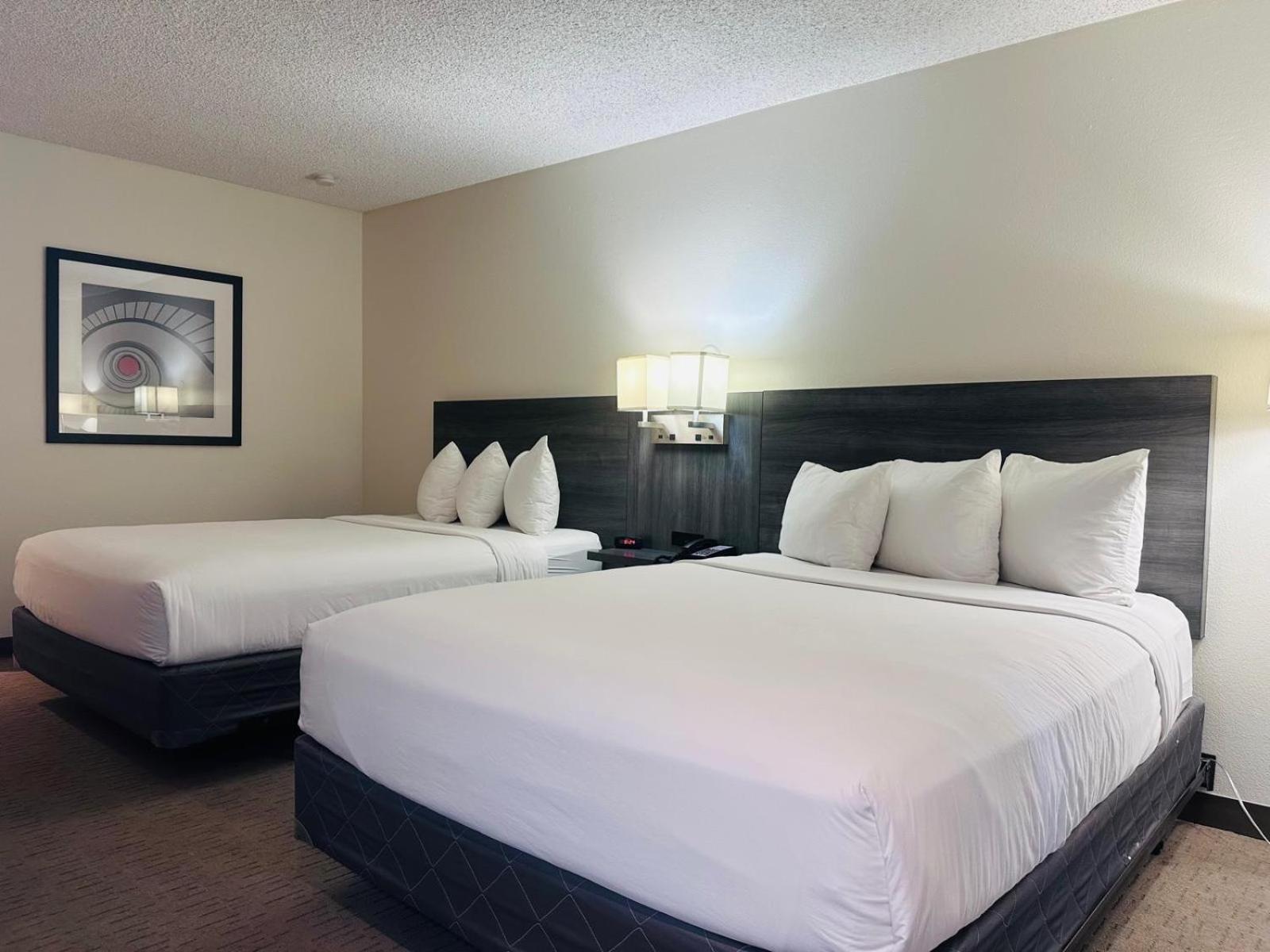 Hotel Palmas