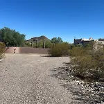 Tucson Mnt Foothills Saguaro Bliss