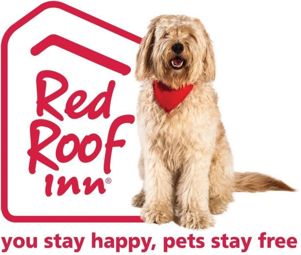Motel Red Roof South - Airport
