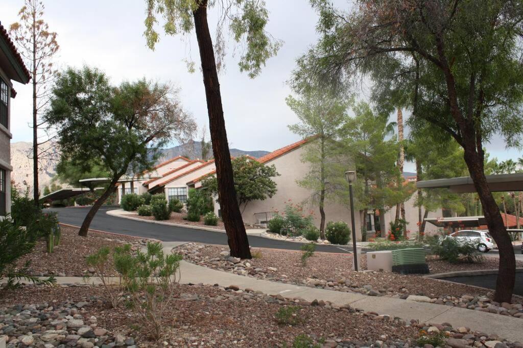 Casa Tierra Catalinas 69 - Catalina Mountains Views Apartment Tucson