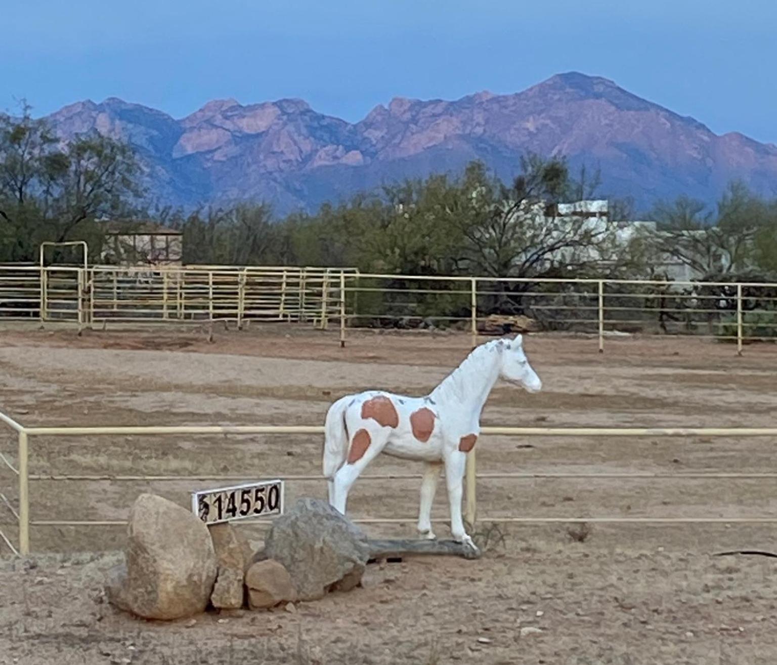 Holiday home Lazy H Bar Desert Outpost Ranch House With Pool And Hot Tub