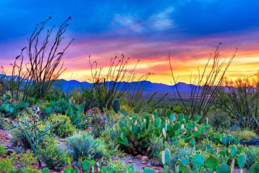 Taste Of Getaway With 3 King Beds And Views Of Silverbell Golf Course And Mountains Tucson