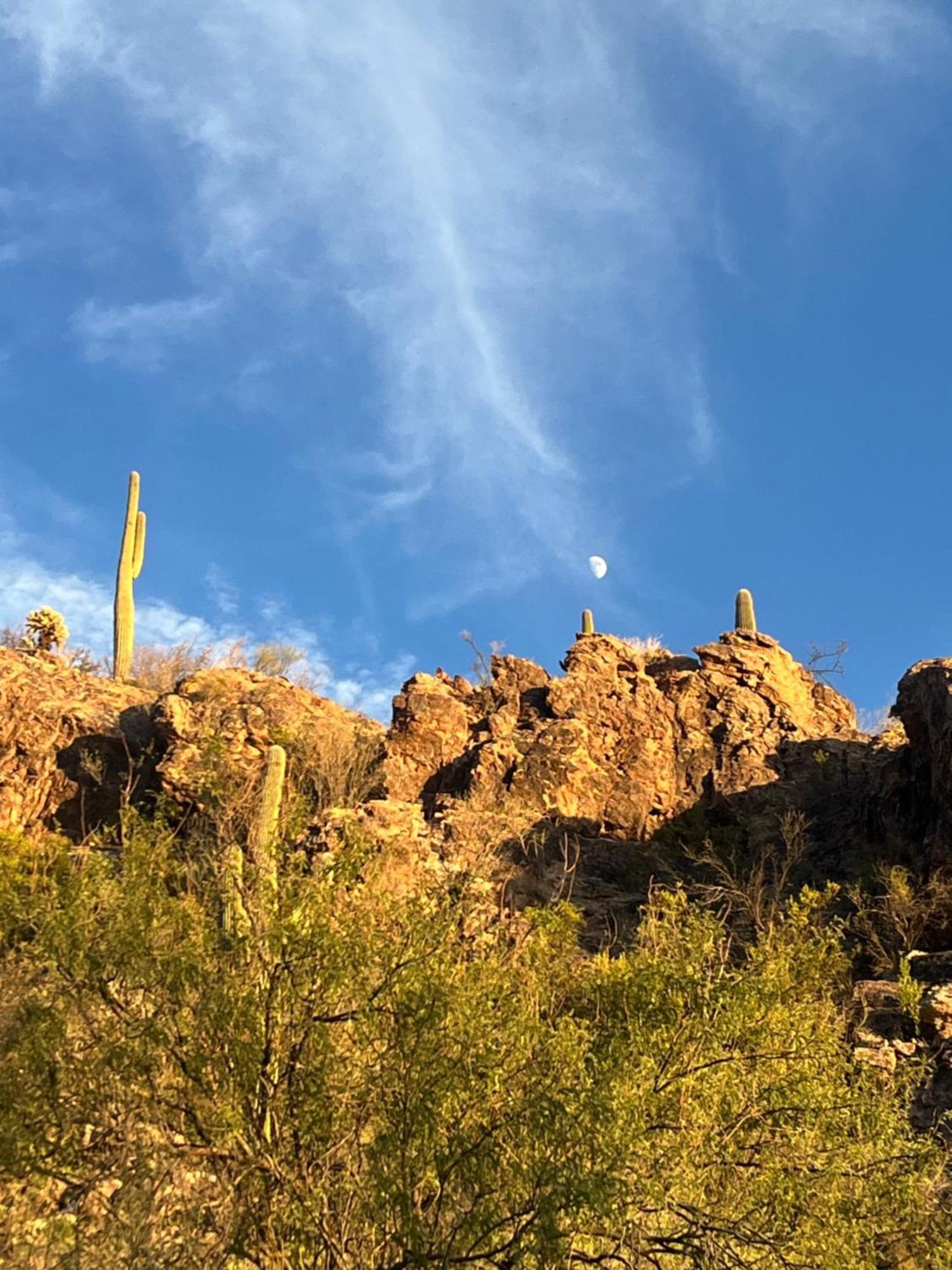 The Nest In Ventana Canyon *