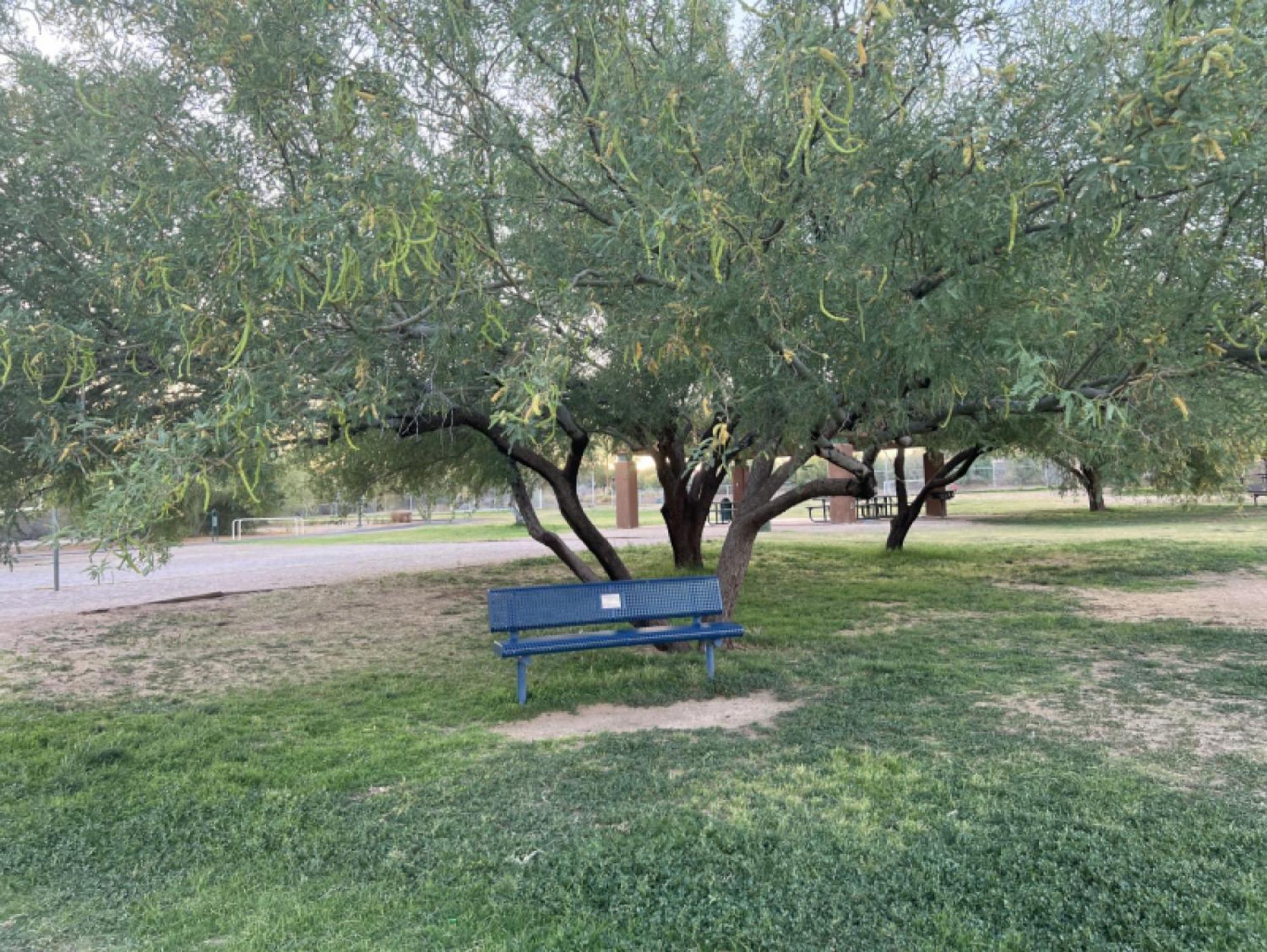 Private - Billiards, Mountain Views, Private Desert Access, Hoa Pool & Spa, Bbq, At Lambert Park - Bourbondale Holiday home *