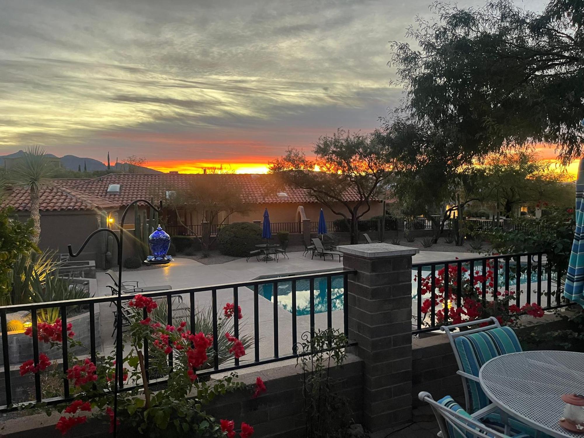 The Nest In Ventana Canyon *