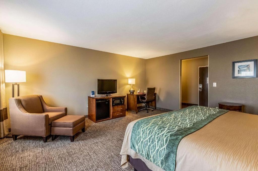Comfort Hotel