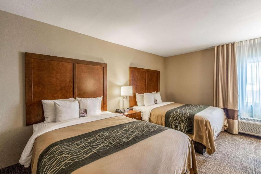 Comfort Tucson