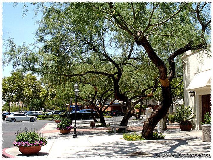 Homewood St. Philip's Plaza Hotel Tucson