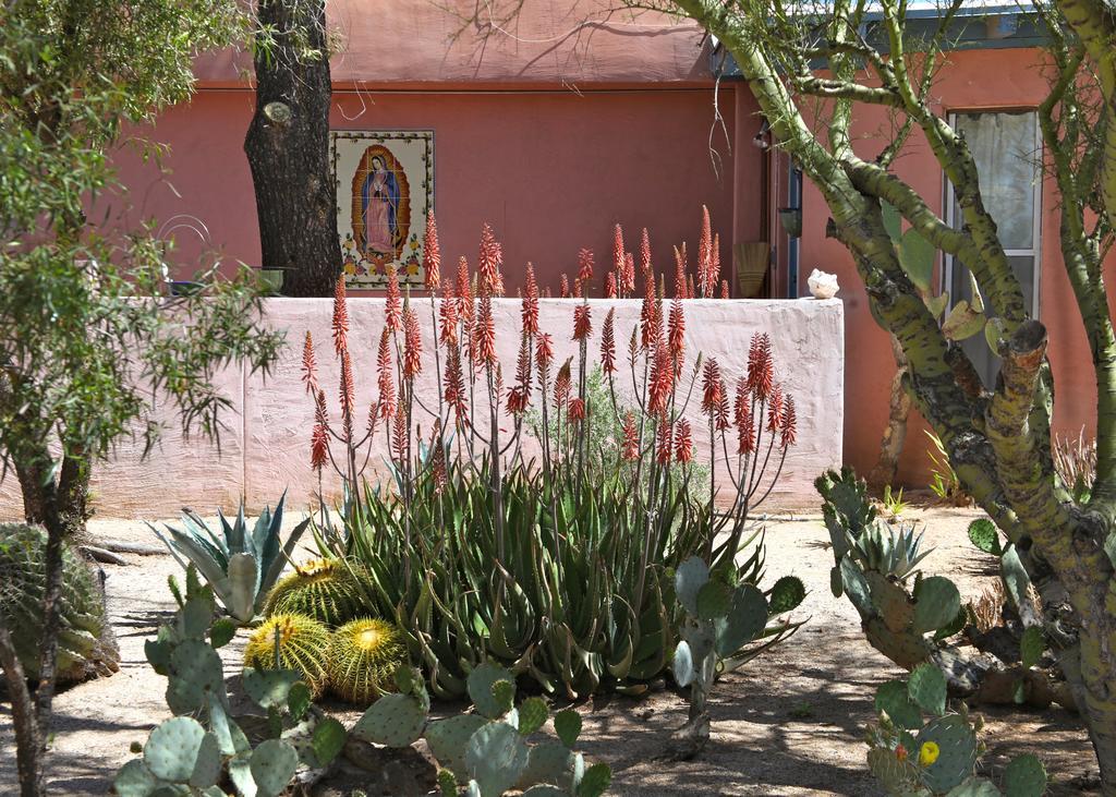 Bed & Breakfast Azure Gate 3*