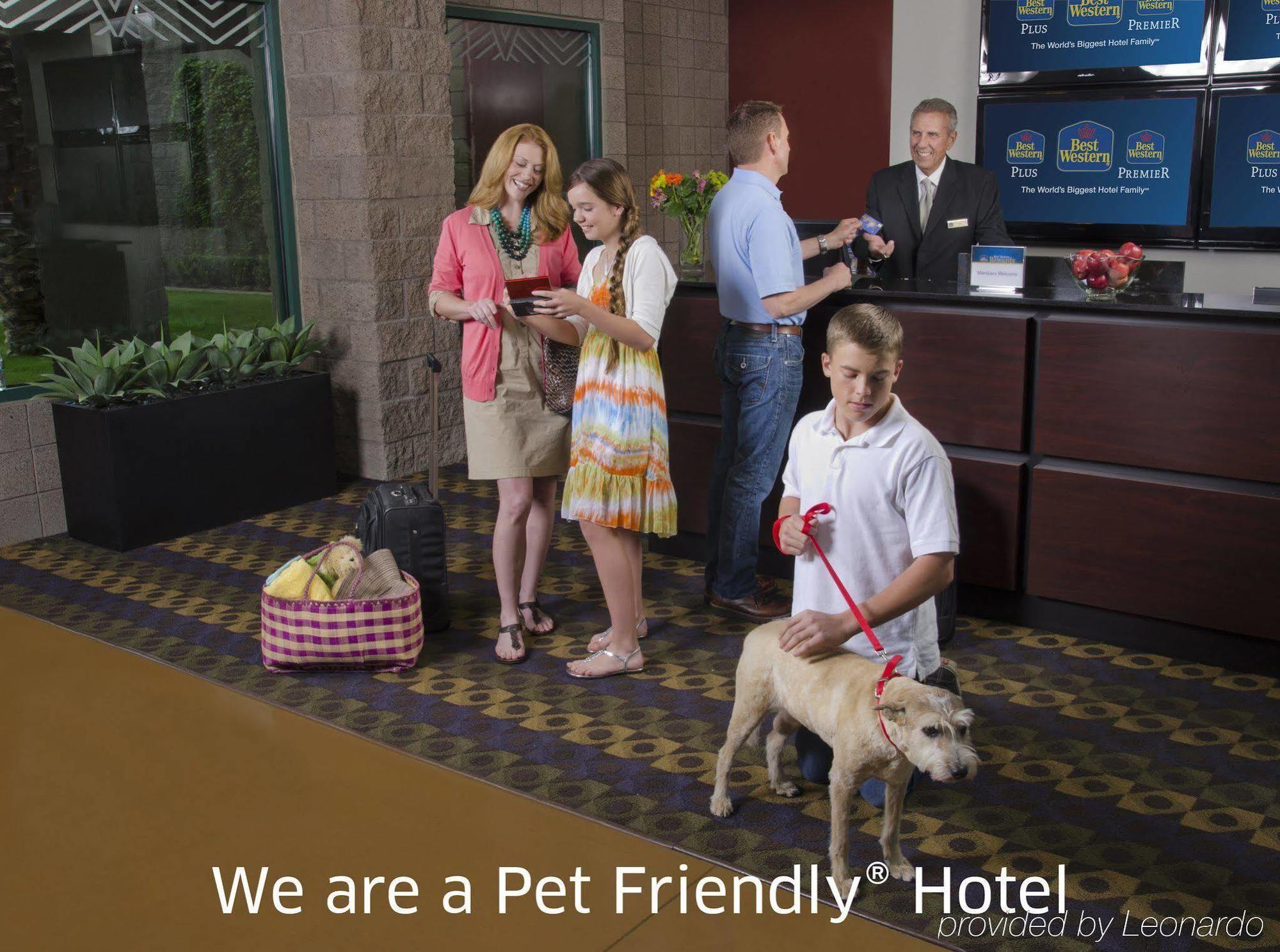 Western Royal Sun & Hotel 3*