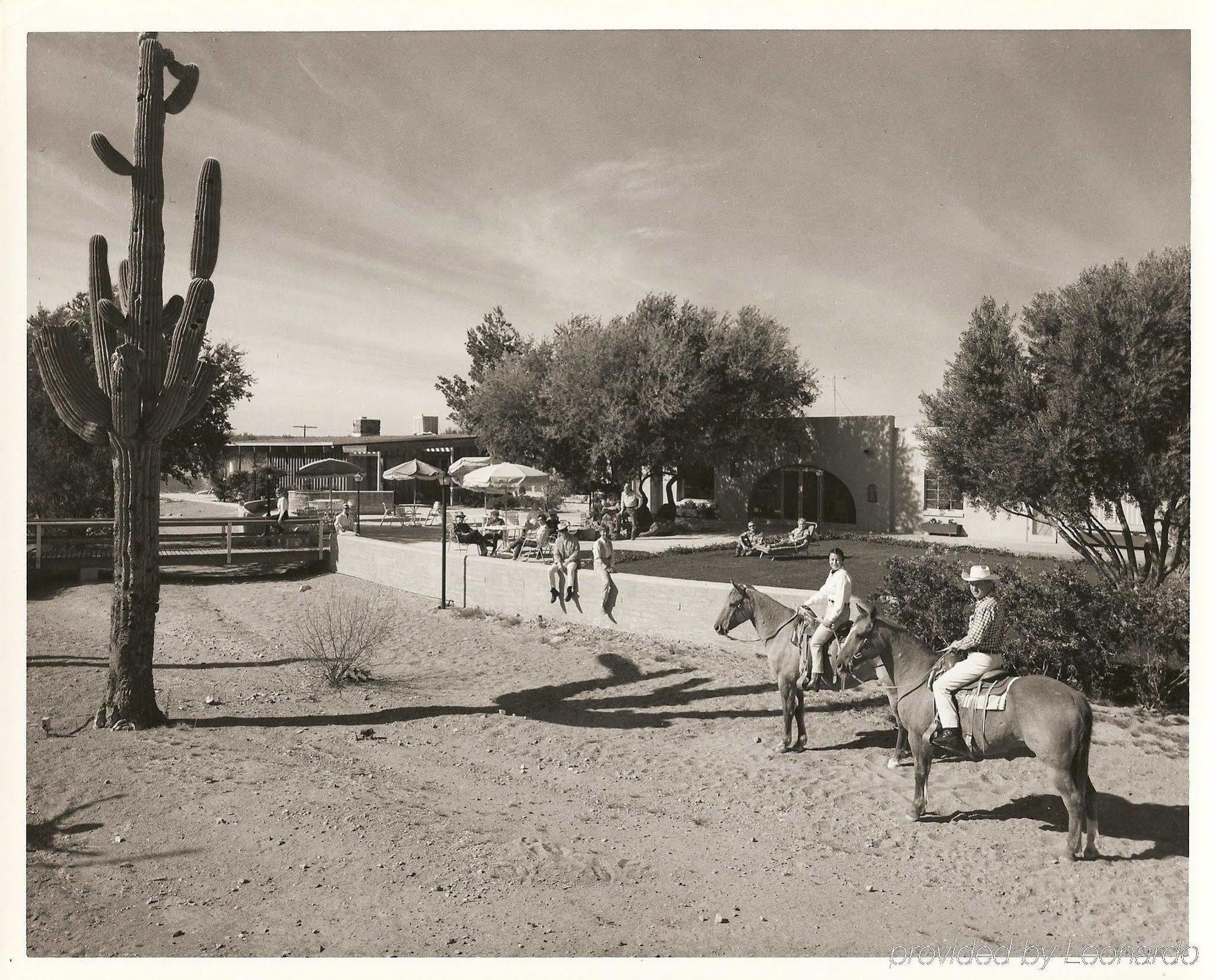 White Stallion Ranch Bed & Breakfast 4*
