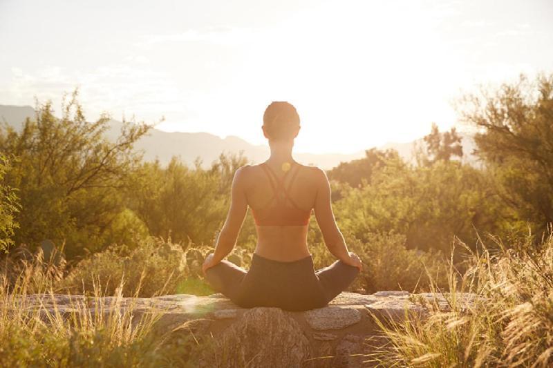 Canyon Ranch Tucson Resort 4*