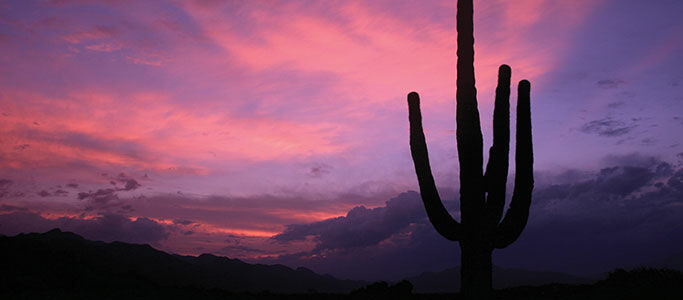 Resort Canyon Ranch Tucson 4*