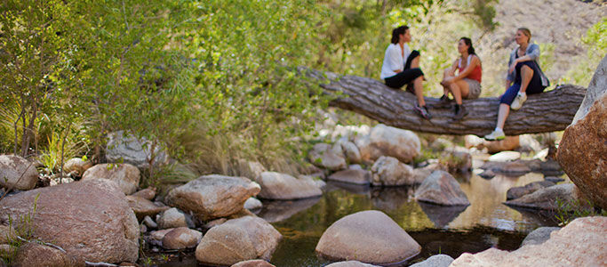 Canyon Ranch Tucson Resort