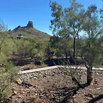 Desert Delight