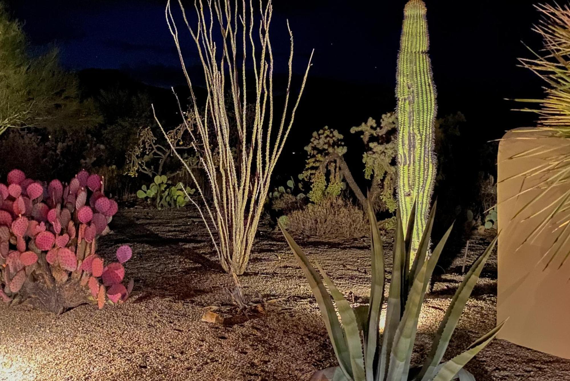 The Desert Z Lounge Holiday home *