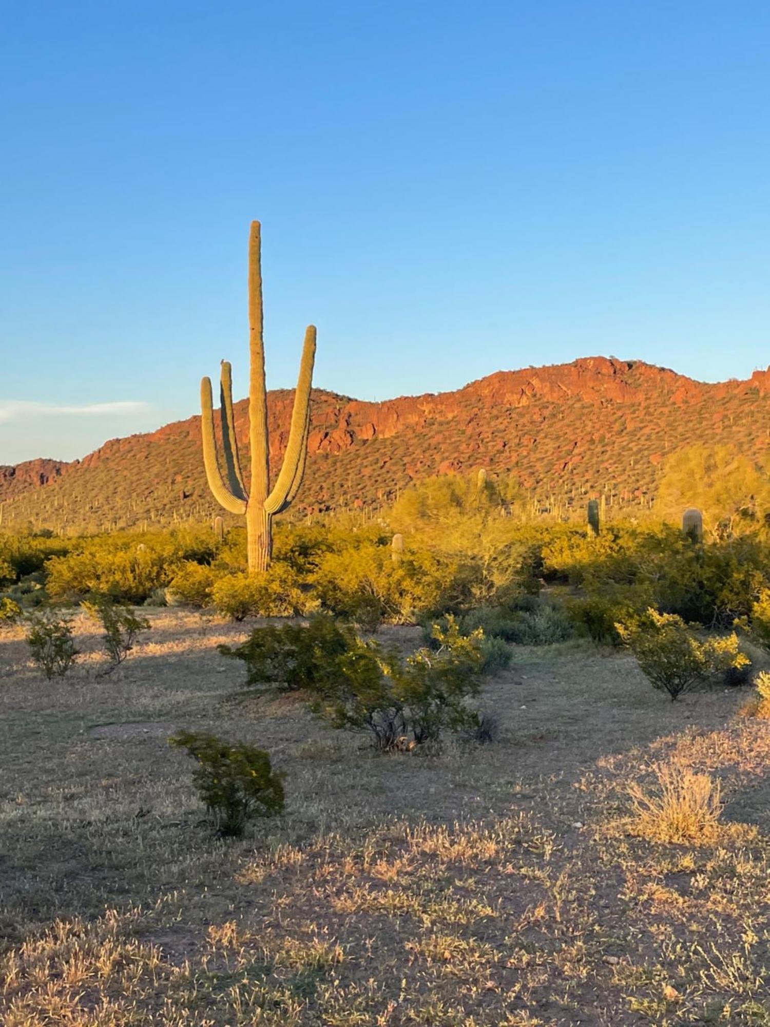 Holiday home Mid-century 4br Ranch With Private Pool, 1m To Pickleball
