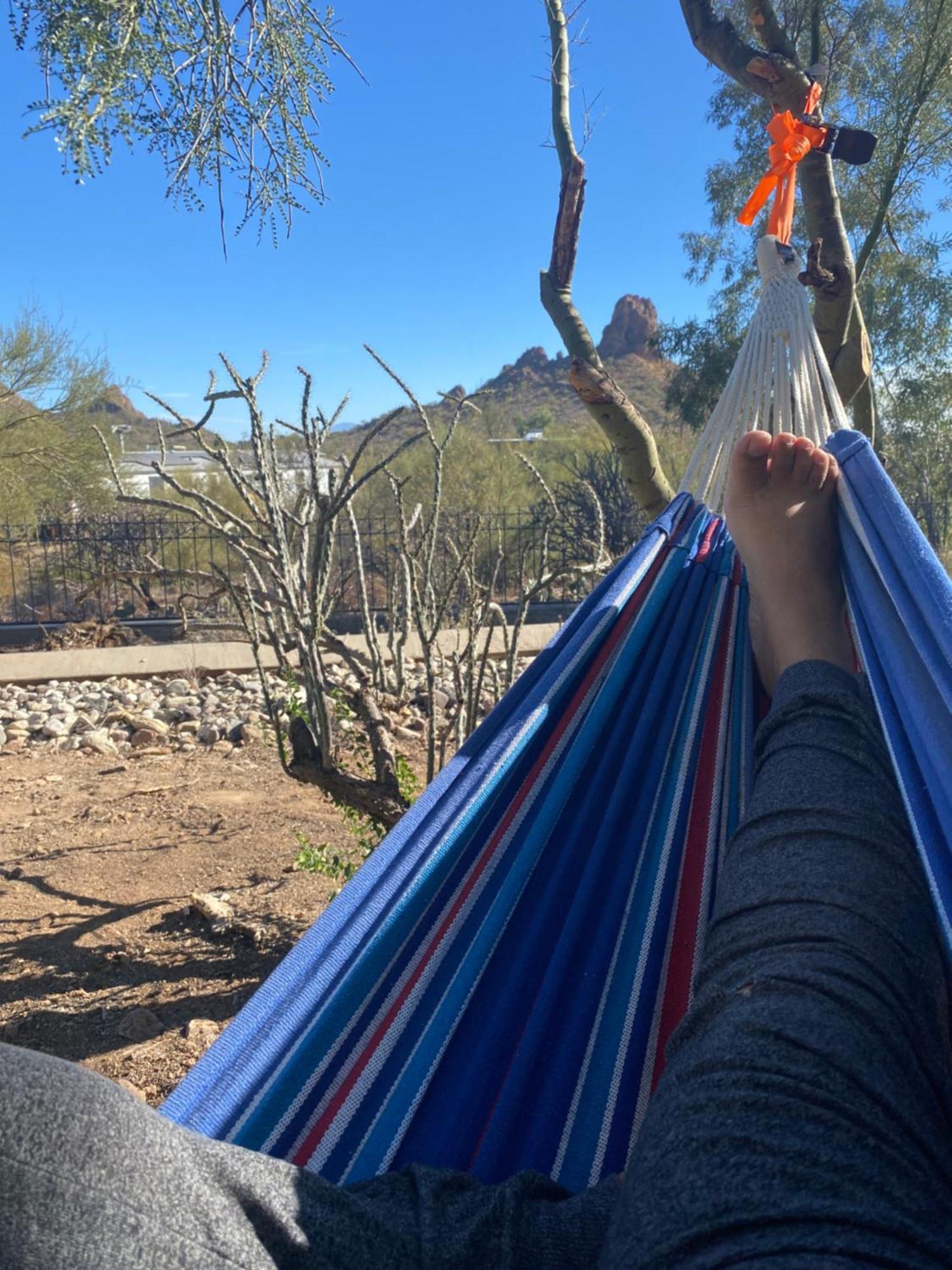 Desert Delight * Tucson