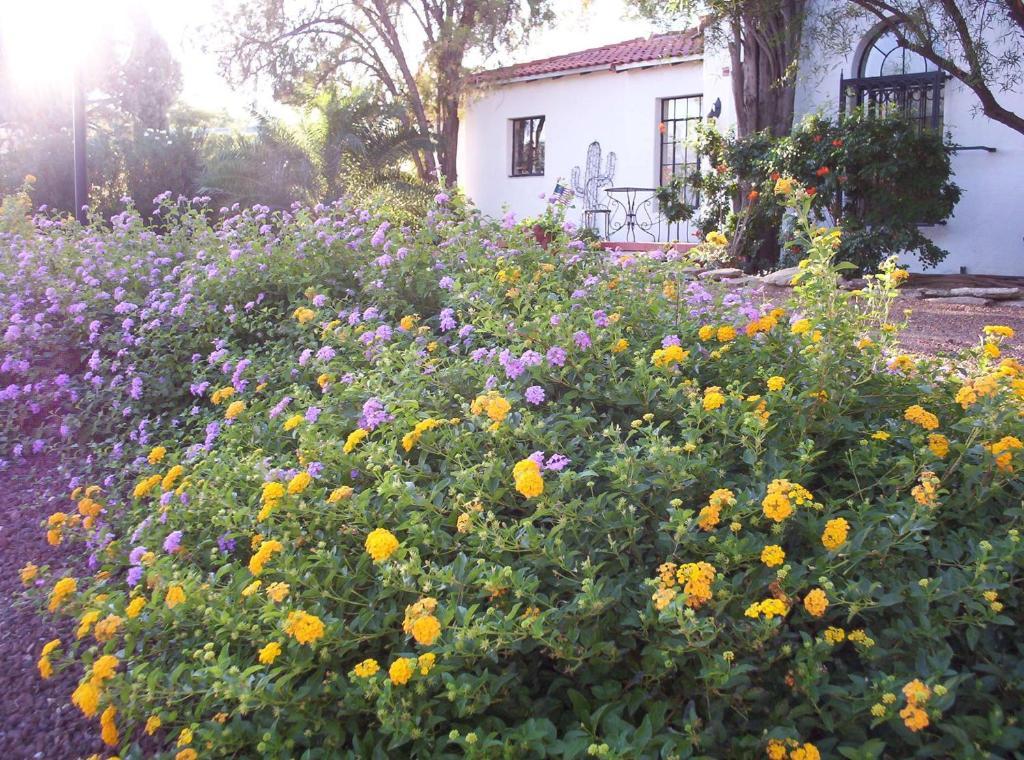 Sam Hughes Bed & Breakfast 3*